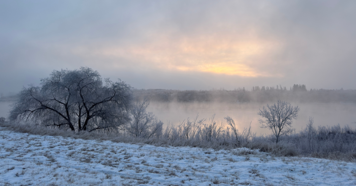 Read more about the article What does a life less confined look like?