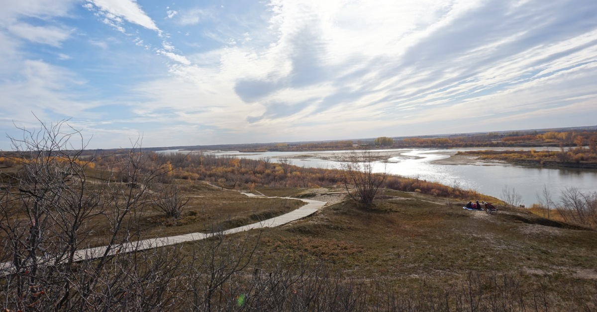 You are currently viewing I almost signed up for a dating site to rebel against my obsession