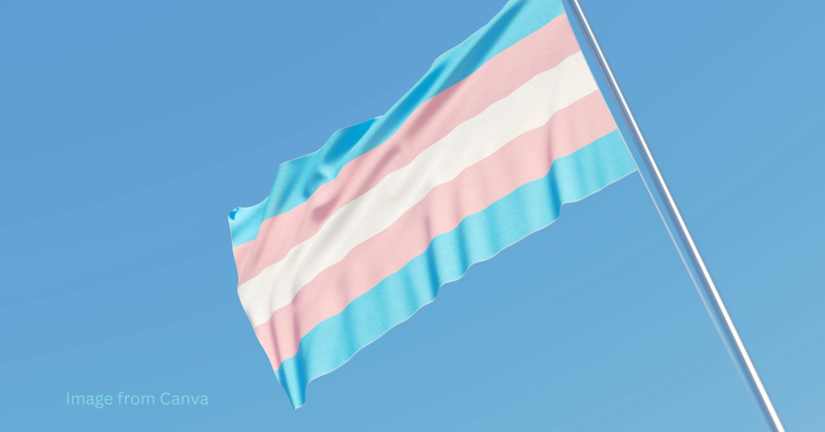 You are currently viewing What I’ve learned about the trans community.